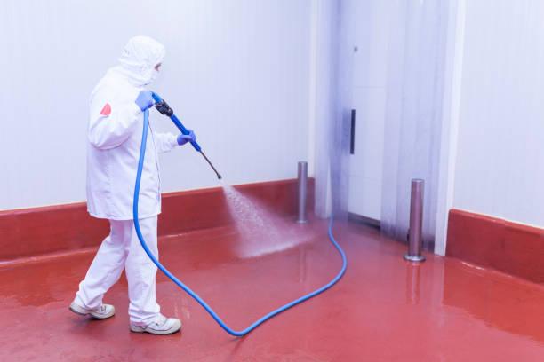 Best Pre-Holiday Cleaning  in Sumiton, AL